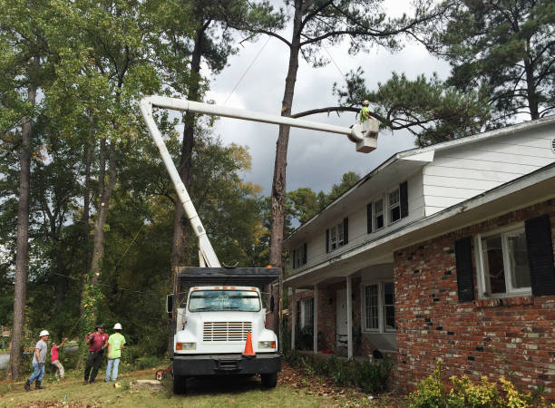 Oolitic, IN Tree Care Company